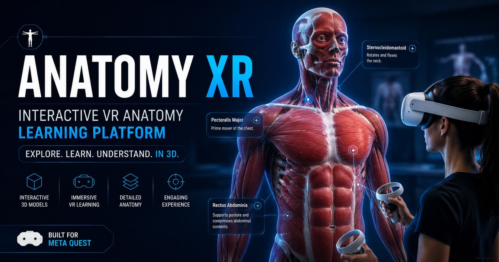 Anatomy XR — Interactive VR Anatomy Learning Platform for Meta Quest